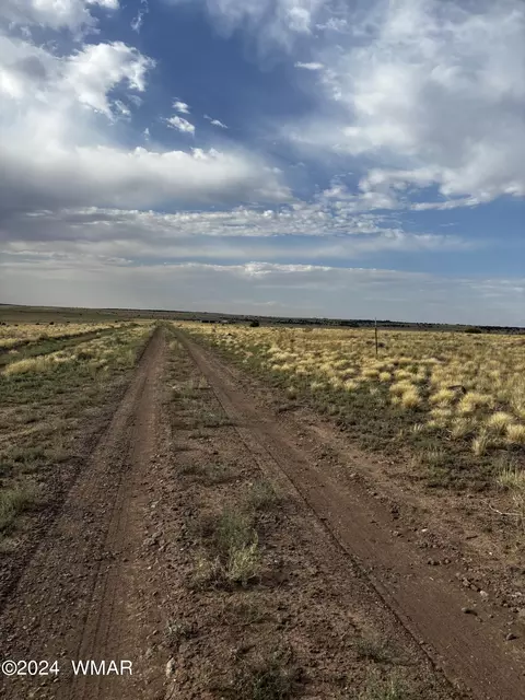 E Cr 3232, Concho, AZ 85924 photo 3