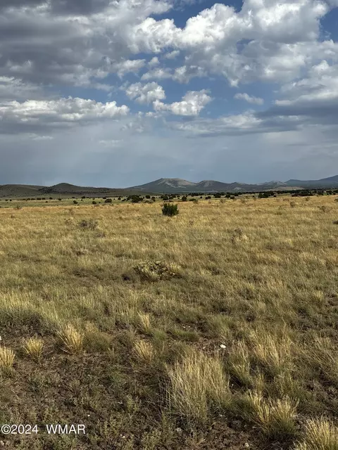 E Cr 3232, Concho, AZ 85924 photo 2