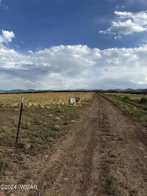 E Cr 3232, Concho, AZ 85924 photo 4