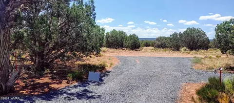 4318 4312 Pinto Rd, Snowflake, AZ 85937 photo 2