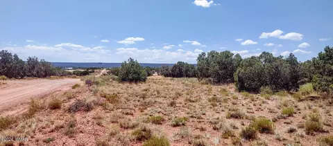 4318 4312 Pinto Rd, Snowflake, AZ 85937 photo 7