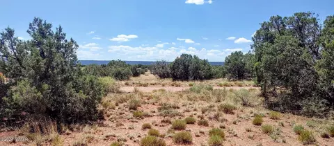 4318 4312 Pinto Rd, Snowflake, AZ 85937 photo 8