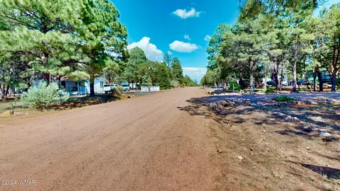 2111 Blue Jay Rd, Overgaard, AZ 85933 photo 40