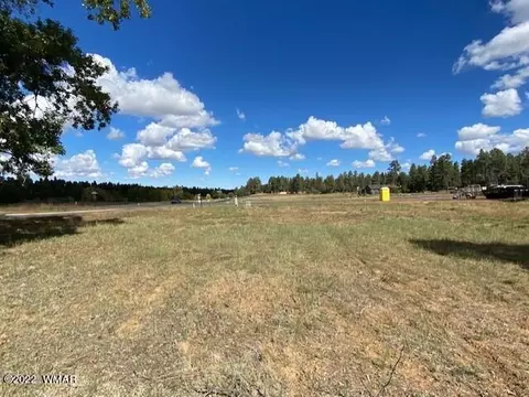 1721 S Torreon Lakes Dr, Show Low, AZ 85901