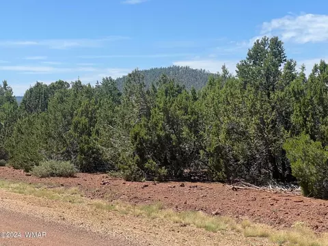 81 Cr 3158 Rd, Vernon, AZ 85940