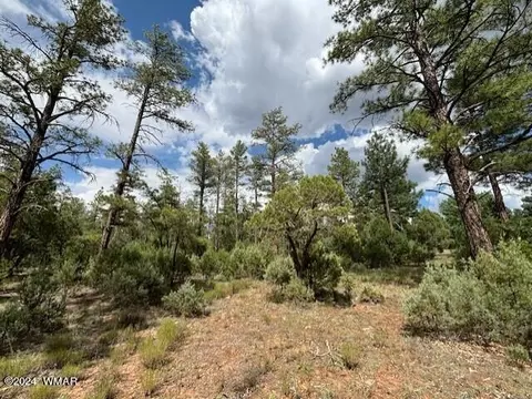 2140 N Whispering Trl, Show Low, AZ 85901