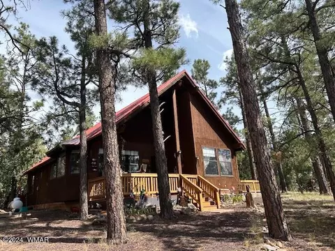 5465 Pride Ln, Pinedale, AZ 85934