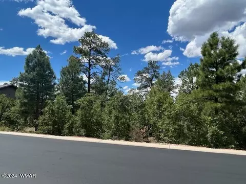 1490 W Snow Creek Trl, Show Low, AZ 85901