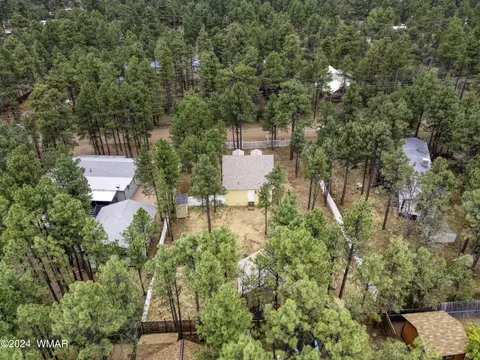 View/Area - 2150 Wildflower Rd, Overgaard, AZ 85933 photo 1 of 1