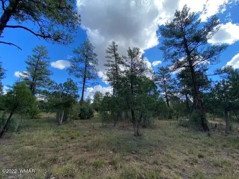 2141 W Whispering Spgs, Show Low, AZ 85901
