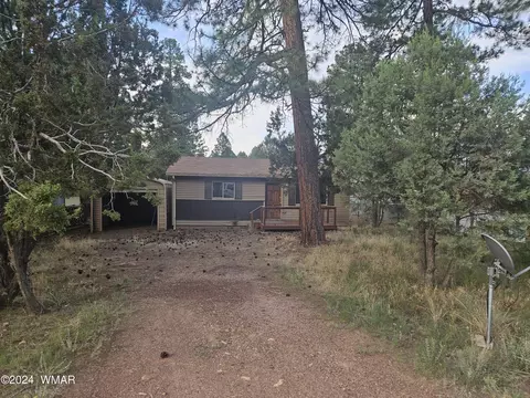 Other - 2877 Big Pine Rd, Overgaard, AZ 85933 photo 6 of 7