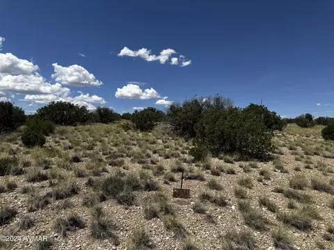 29 Gila Dr, Concho, AZ 85924
