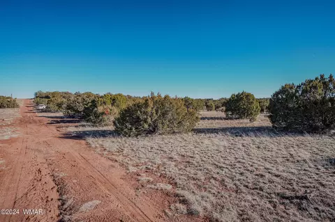 tbd Rubber Duck Ln, Show Low, AZ 85901