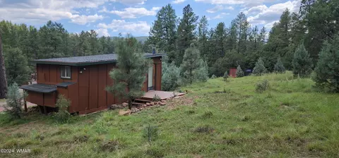 1144 Christopher Creek Loop, Payson, AZ 85541 photo 22