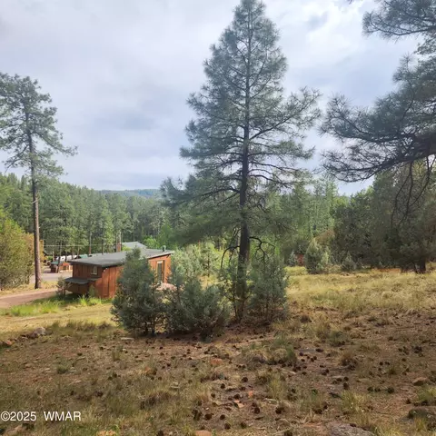 1144 Christopher Creek Loop, Payson, AZ 85541 photo 46