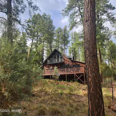1144 Christopher Creek Loop, Payson, AZ 85541 photo 45