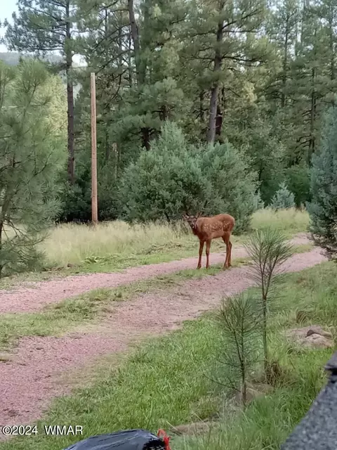 1144 Christopher Creek Loop, Payson, AZ 85541 photo 33