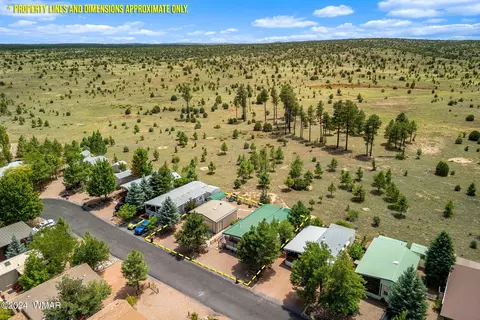 2231 Rodeo Rd, Overgaard, AZ 85933 photo 32