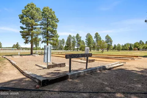 2231 Rodeo Rd, Overgaard, AZ 85933 photo 35