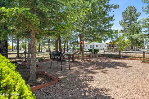 2231 Rodeo Rd, Overgaard, AZ 85933 photo 36