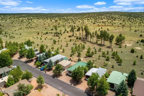 2231 Rodeo Rd, Overgaard, AZ 85933 photo 30