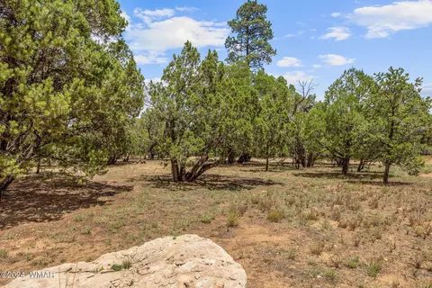 2112 Forest Park Dr, Overgaard, AZ 85933
