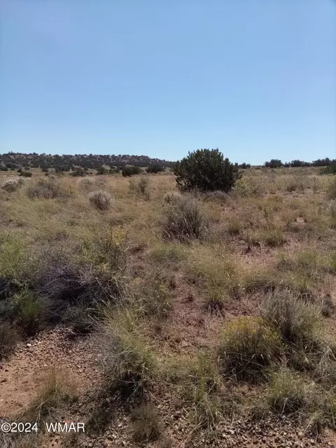 8875 Juniper Berry Trl, Snowflake, AZ 85937