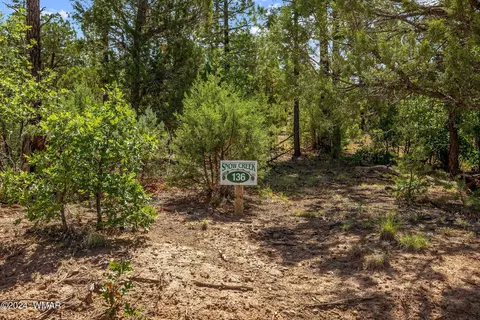 1011 W Snow Creek Trl, Show Low, AZ 85901