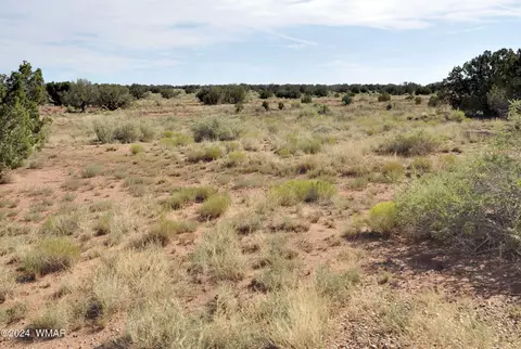 17 N5407, Concho, AZ 85924 photo 40
