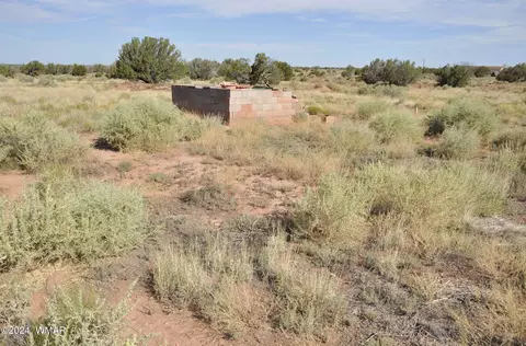 17 N5407, Concho, AZ 85924 photo 38