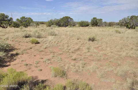 17 N5407, Concho, AZ 85924 photo 39