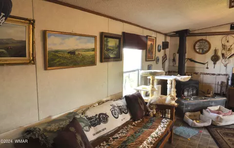 17 N5407, Concho, AZ 85924 photo 9