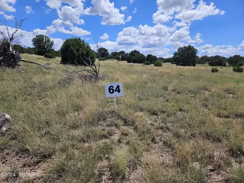 tbd County Road 8623 #LOT 64, Concho, AZ 85924