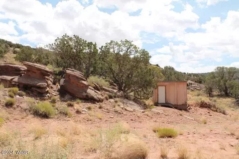 9170 Pueblo Ln, Snowflake, AZ 85937 photo 11