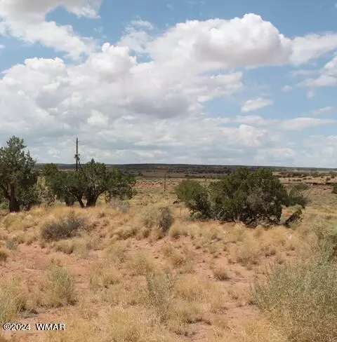 9170 Pueblo Ln, Snowflake, AZ 85937 photo 9