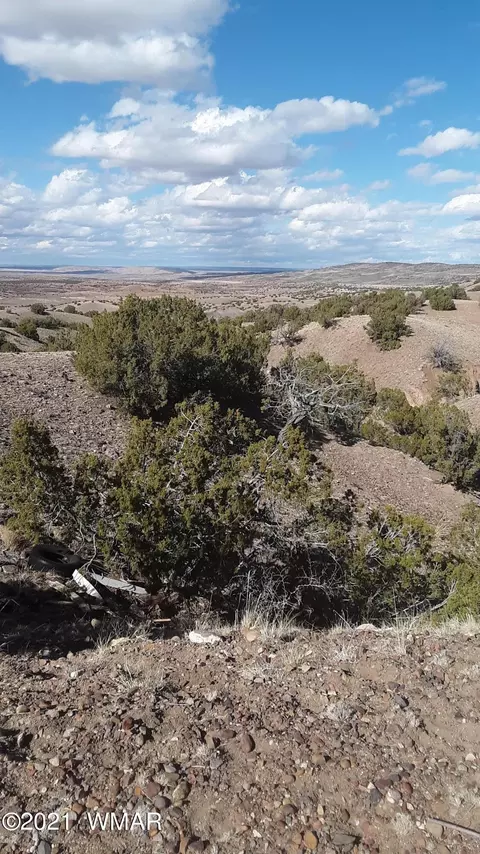 2 County Rd 5035, Concho, AZ 85924 photo 7