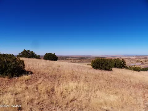 2 County Rd 5035, Concho, AZ 85924 photo 18