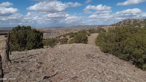 2 County Rd 5035, Concho, AZ 85924 photo 11
