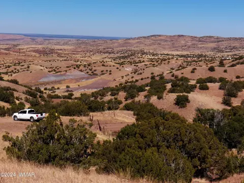 2 County Rd 5035, Concho, AZ 85924 photo 25