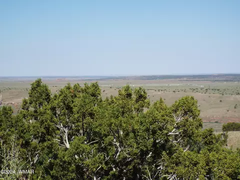 2 County Rd 5035, Concho, AZ 85924 photo 27