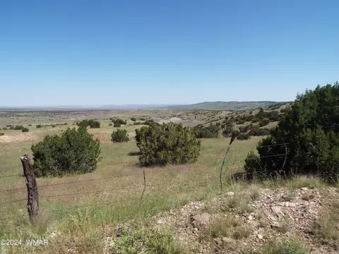2 County Rd 5035, Concho, AZ 85924 photo 26