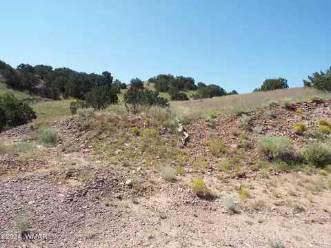 2 County Rd 5035, Concho, AZ 85924 photo 28