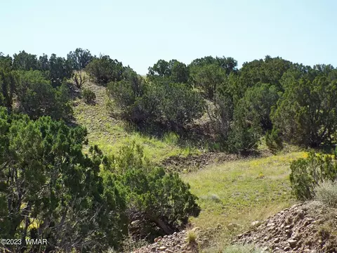2 County Rd 5035, Concho, AZ 85924 photo 2