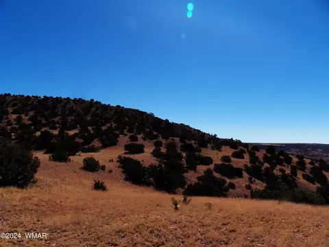 2 County Rd 5035, Concho, AZ 85924 photo 24