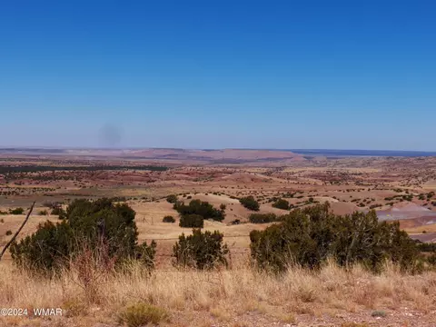2 County Rd 5035, Concho, AZ 85924 photo 13