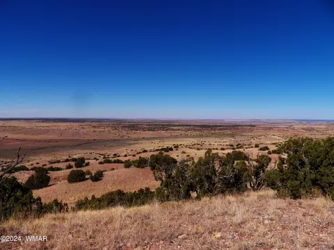2 County Rd 5035, Concho, AZ 85924 photo 22
