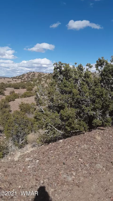 2 County Rd 5035, Concho, AZ 85924 photo 8