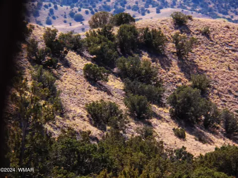2 County Rd 5035, Concho, AZ 85924 photo 34