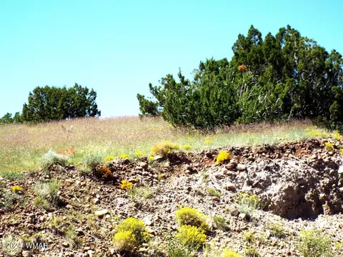 2 County Rd 5035, Concho, AZ 85924 photo 31