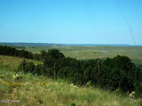 2 County Rd 5035, Concho, AZ 85924 photo 29